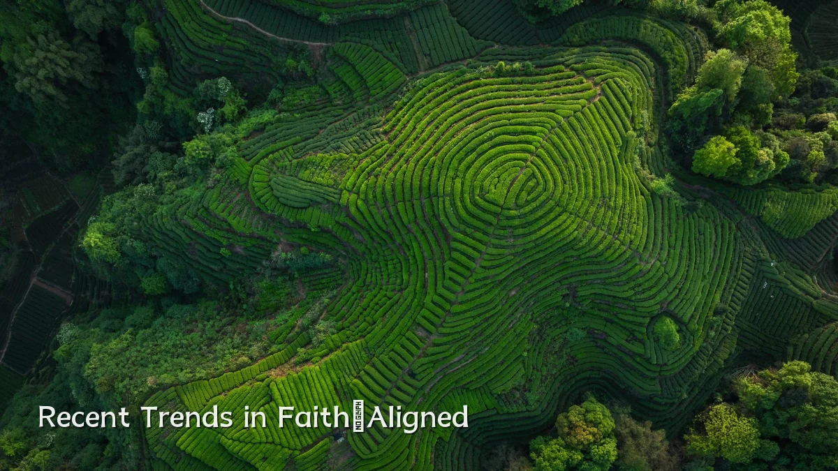 Recent Trends in Faith‑Aligned