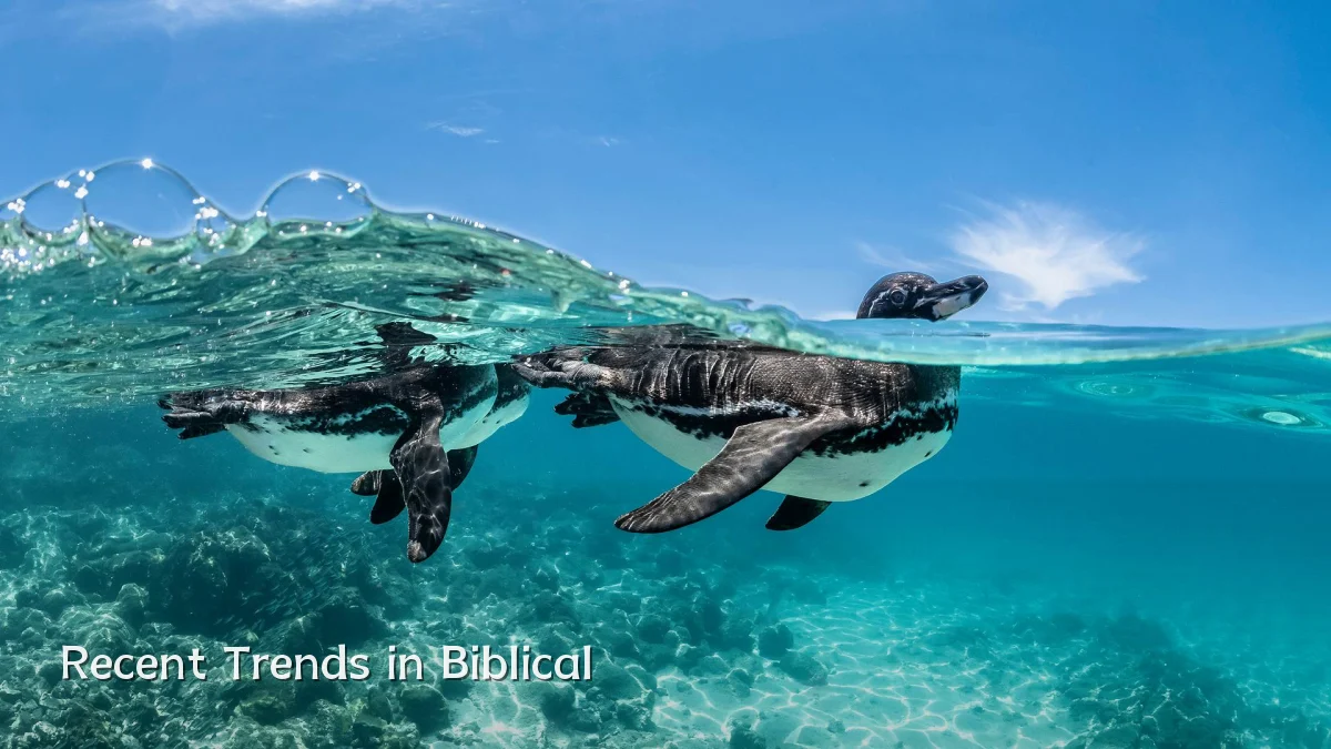 Recent Trends in Biblical