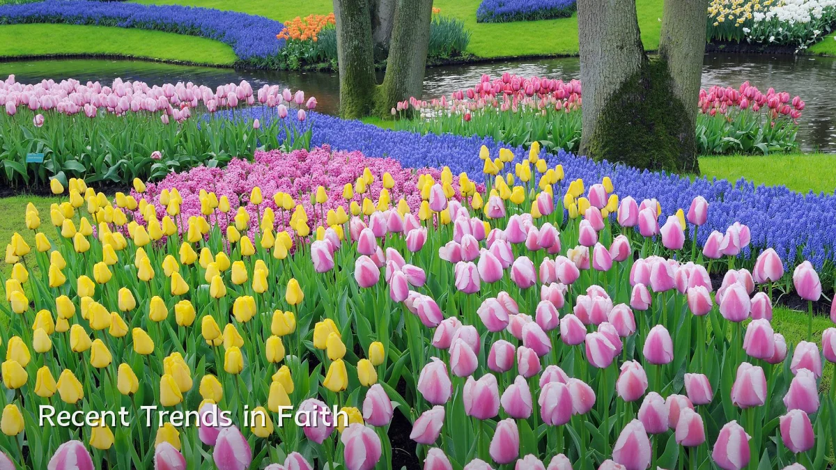 Recent Trends in Faith
