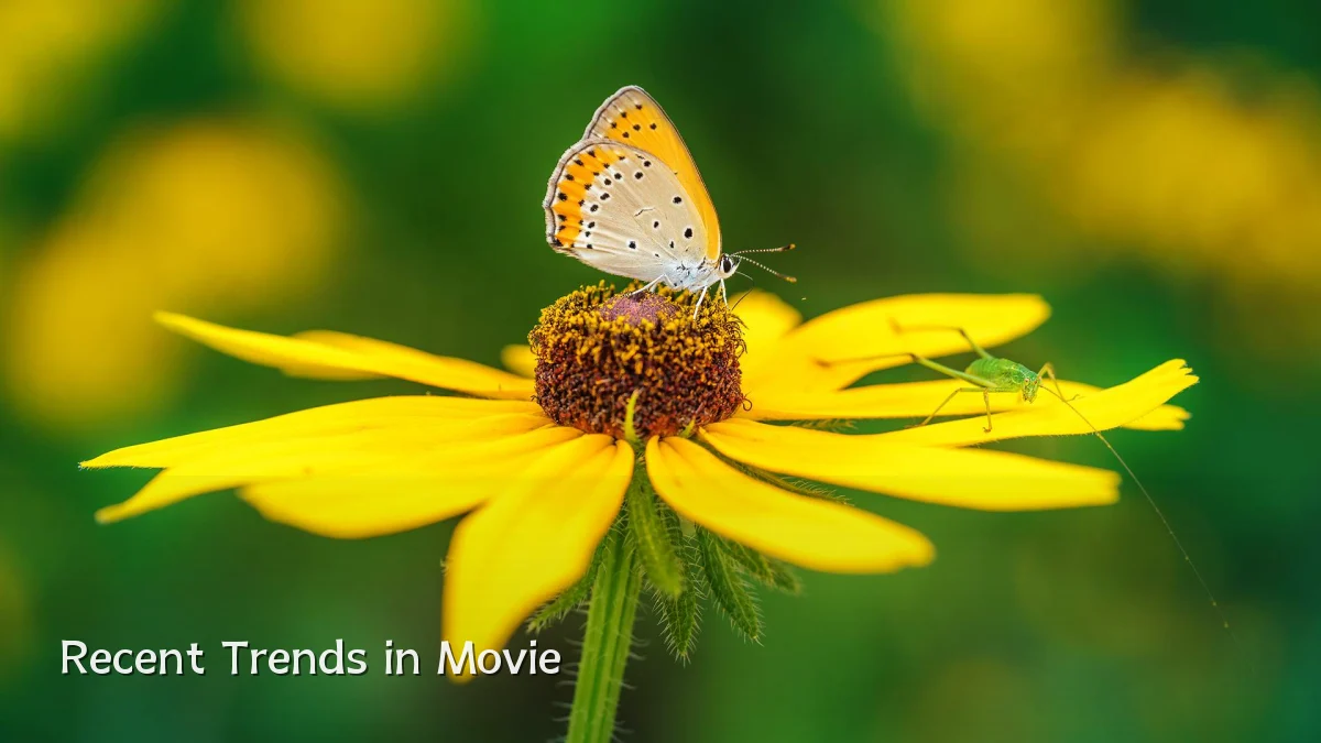 Recent Trends in Movie