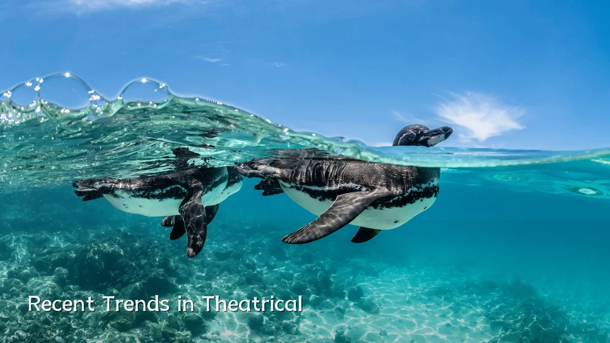 Recent Trends in Theatrical